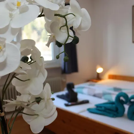 Tatil Evi Dz Schwarzwaldzauber Mit Gem. Kueche *