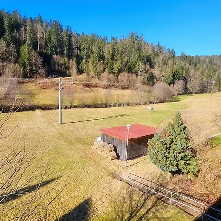 Dz Schwarzwaldzauber Mit Gem. Kueche *