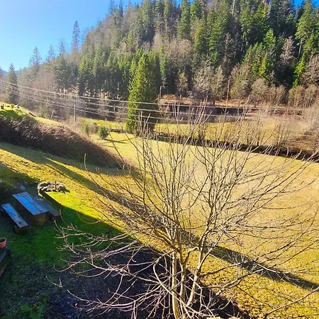 Tatil Evi Dz Schwarzwaldzauber Mit Gem. Kueche